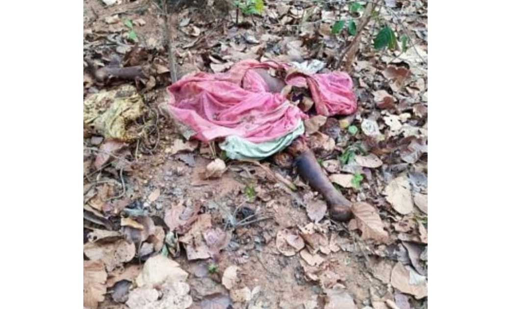 जशपुर : हाथियों के दल ने एक बुजुर्ग को कुचल कर मौत के घाट उतारा 