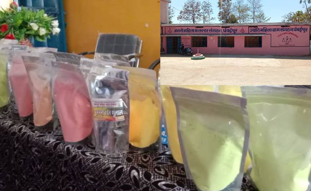 सब्जियों और फुलों से बना हर्बल गुलाल रंगेंगा इस बार चेहरो को , कटघोरा विकासखण्ड के धवईपुर और ढेलवाडीह, अमरपुर की महिलाओं ने बनाया हर्बल गुलाल