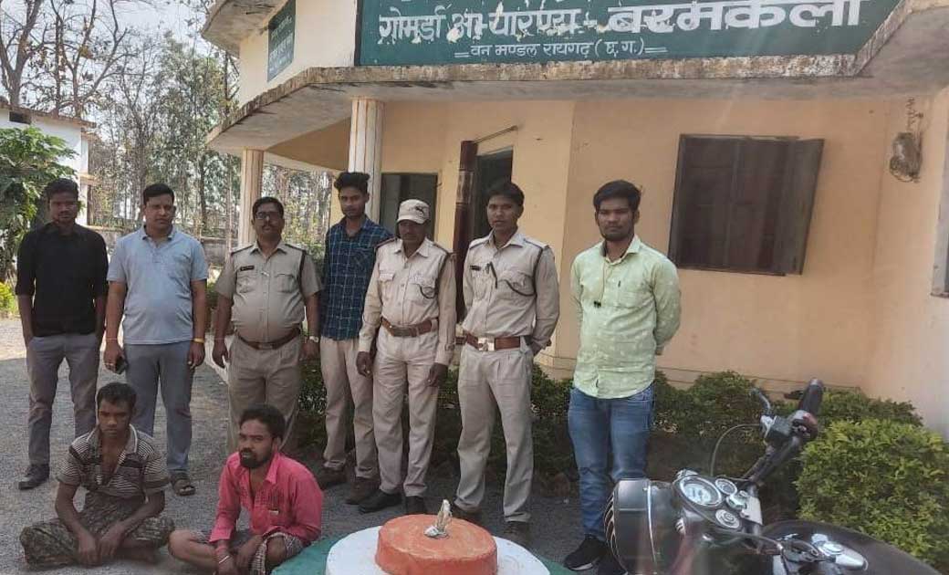 गोमर्डा अभ्यारण्य में साम्हर का अवैध शिकार करने वाले दो आरोप... - CG Sandesh