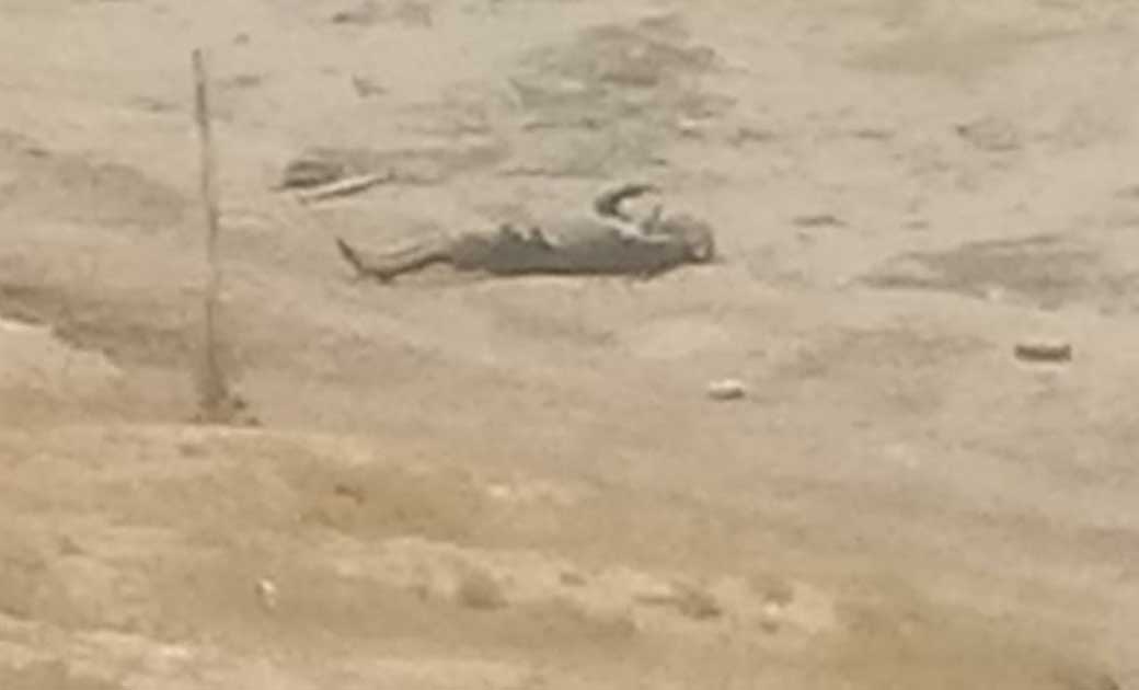 बसना : नट्टा तालाब में मिला एक व्यक्ति का शव, मौके पर पहुंची... - CG Sandesh
