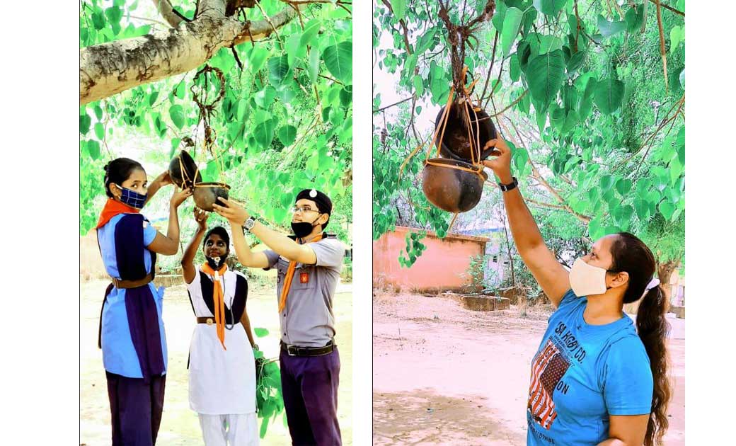 सरायपाली :  वृद्ध जन सेवा समिति द्वारा पशु पक्षियों हेतु पान... - CG Sandesh
