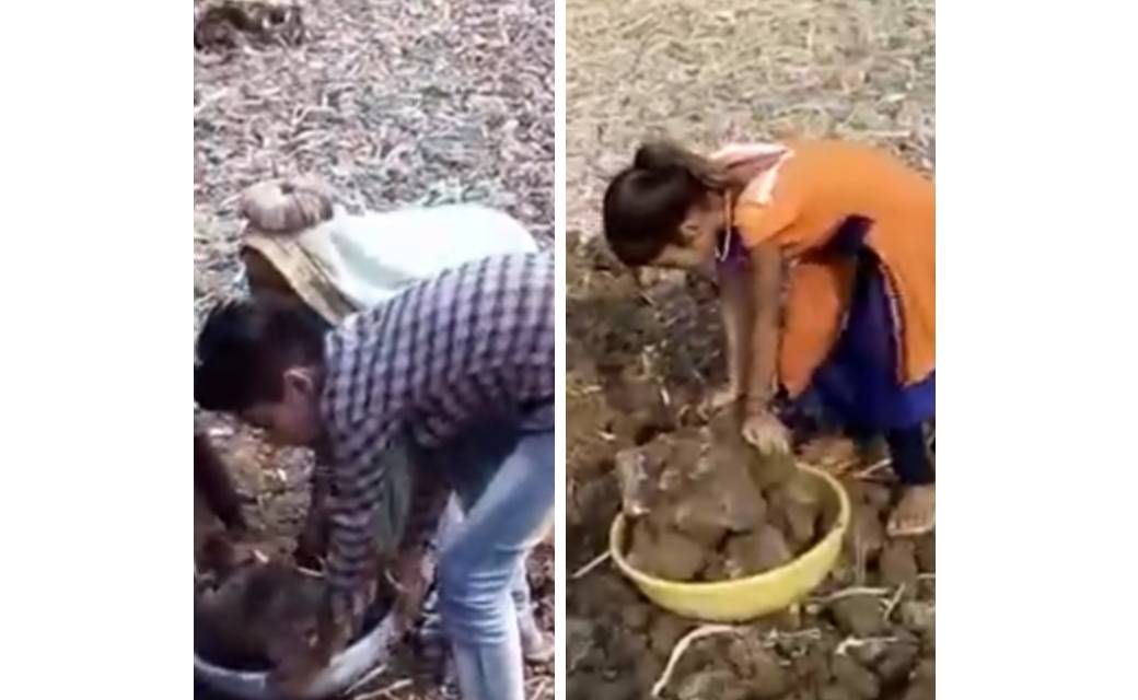 कलम पकड़ने के उम्र में बच्चों के हाथ फावड़ा-कुदाली, सारंगढ़ लेन्धरा (छोटे) में मनरेगा में कराया जा रहा बाल-मजदूरी...