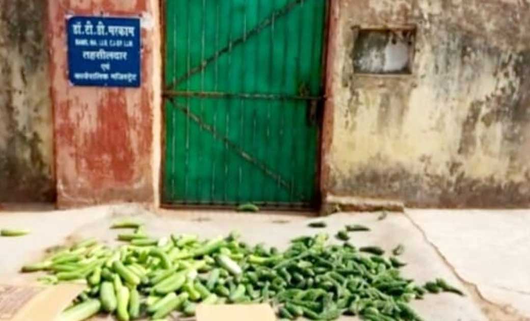 किसानों ने तहसीलदार के बंगले के सामने सब्जी फेंककर किया विरोध..! जानिए क्या है पूरा मामला...