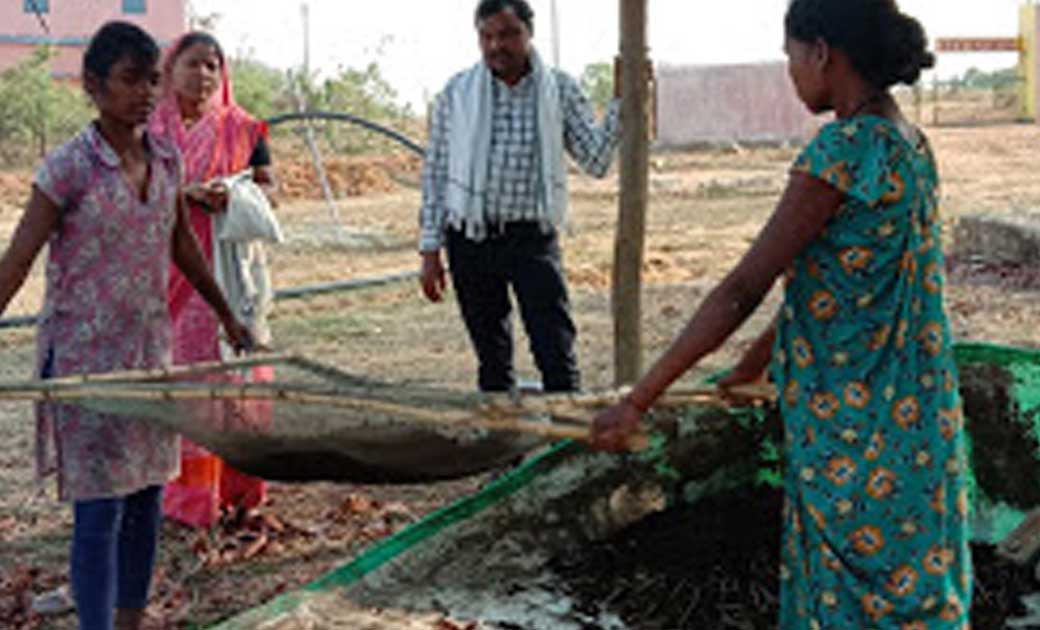 जशपुर जिले में 189 गोठान के माध्यम से की जा रही गोबर खरीदी