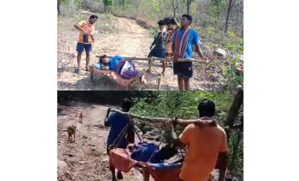 तेंदूपत्ता तोड़ने गए युवक पर जंगली भालू ने किया जानलेवा हमला...