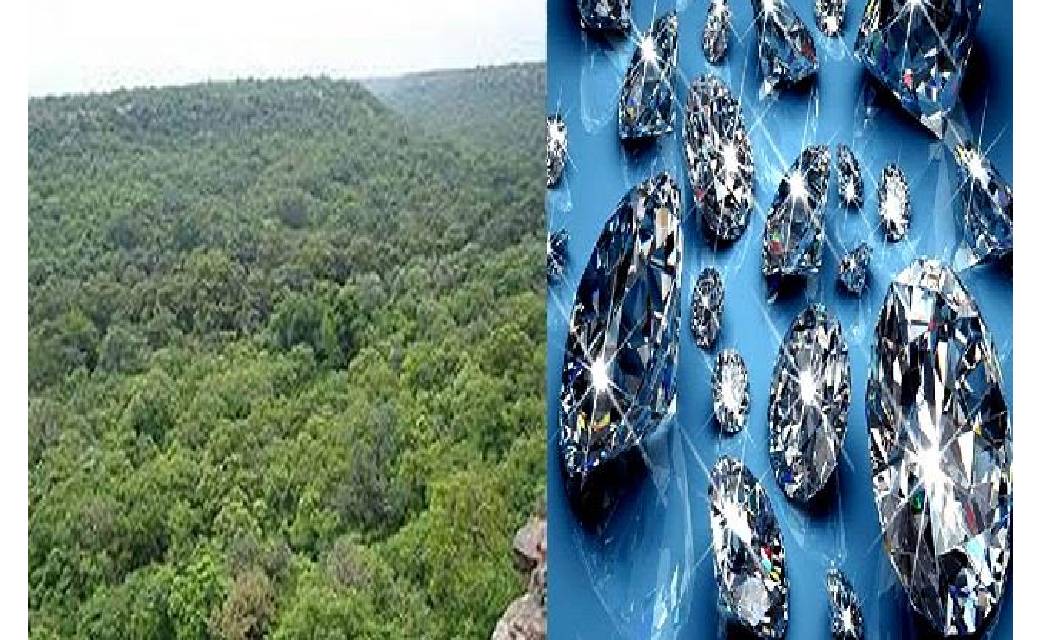 सरकार को नहीं चिंता पर्यावरण की...हीरा खनन के बदले 2.15 लाख ... - CG Sandesh