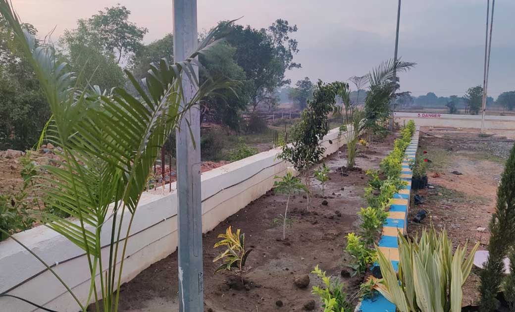 बसना :  श्याम भारत पेट्रोलियम फ्यूल्स में पर्यावरण दिवस  मना... - CG Sandesh