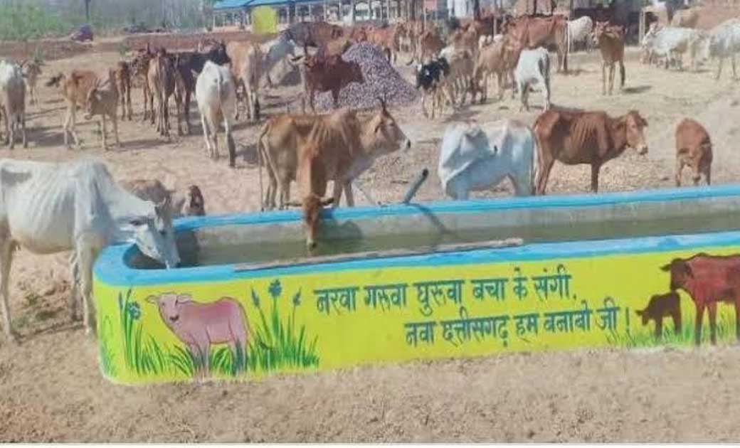 महासमुंद : रोका-छेका कार्यक्रम हेतु दिशा-निर्देश जारी, जिले ... - CG Sandesh