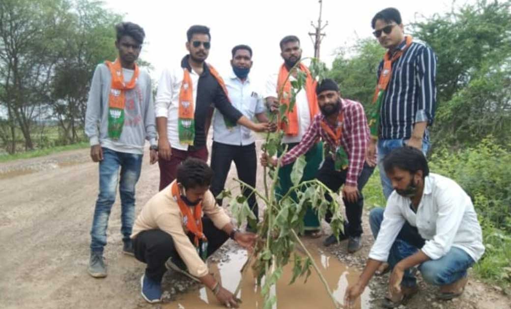 प्रशासन को शर्म दिलाने भारतीय जनता पार्टी के कार्यकर्ताओं ने लगाया सड़क के गड्ढों में  बेशरम का पौधा.....