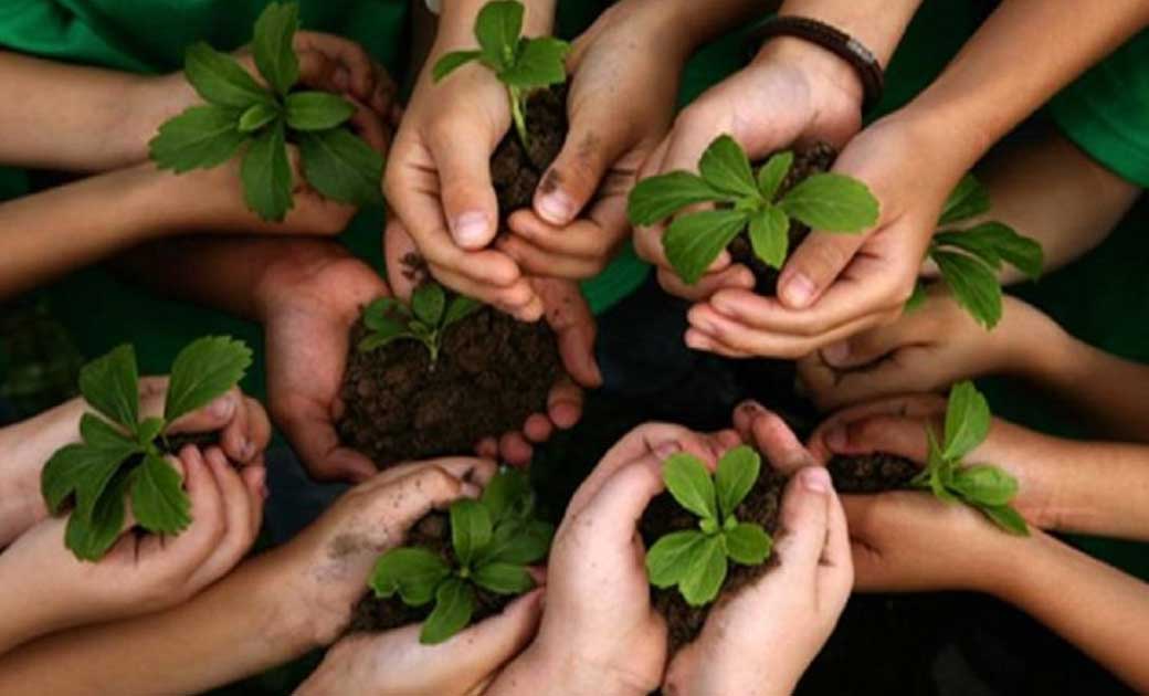 जशपुरनगर : कलेक्टर 05 जून को पौधे रोपण के लिए तैयारी करने के दिये निर्देश