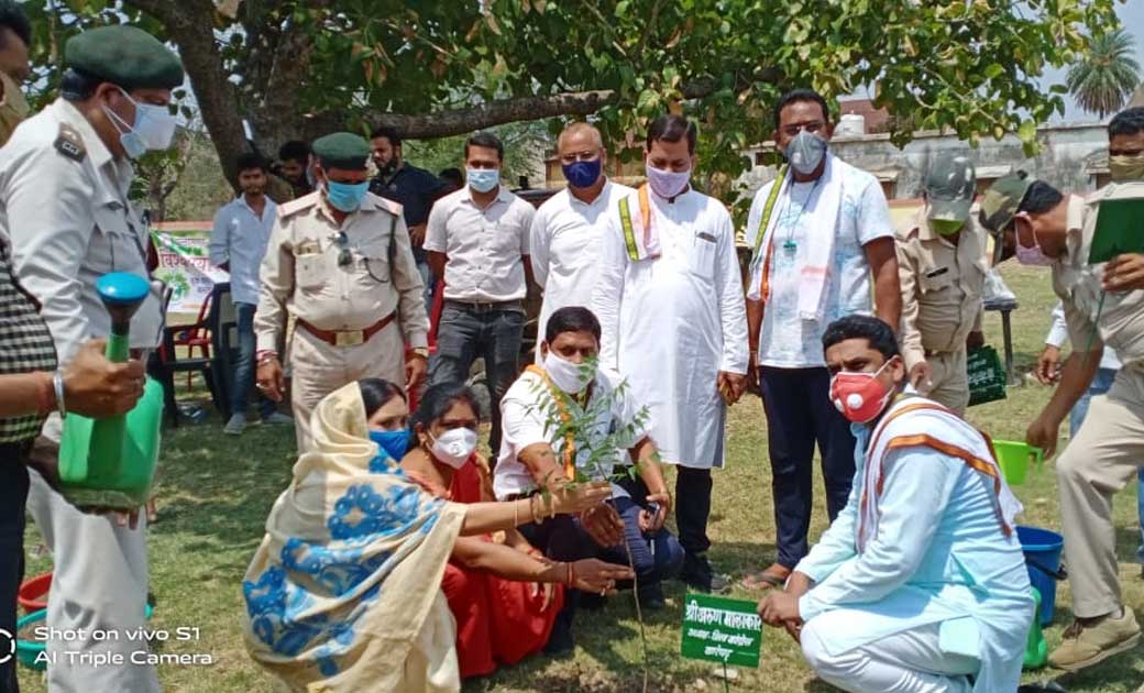 विश्व पर्यावरण दिवस पर उत्त्तरी जांगड़े विधायक ने किया वृक्ष... - CG Sandesh