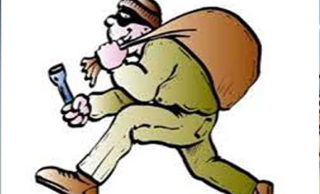 पटेवा : अज्ञात व्यक्ति ने गोठान में व दुकान से की चोरी, मामला दर्ज.