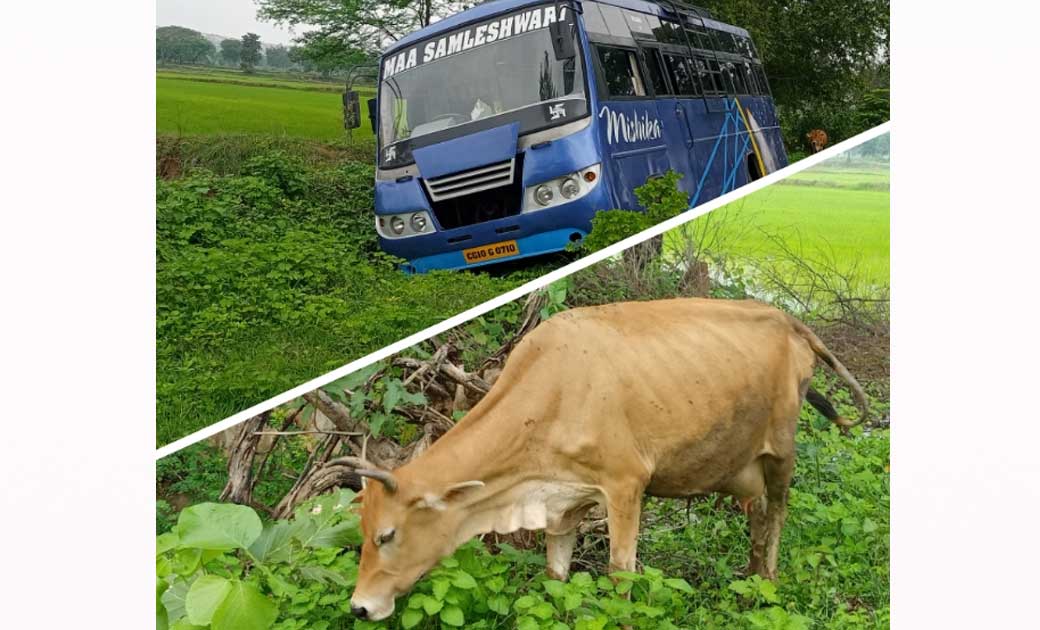 सारंगढ़ ब्रेकिंग:- गाय को बचाने के चक्कर मे अनियंत्रित हुवी य... - CG Sandesh