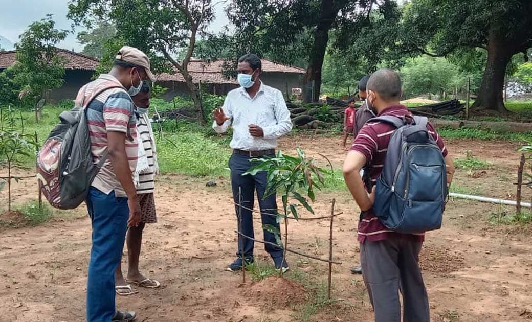 जशपुर जिला कृषि विज्ञान केंद्र डुमरबहार द्वारा कृषक प्रक्षेत्र में लगाए जाएंगे फलदार पौधे लीची आम अमरूद सीताफल बेर के लगेंगे उन्नत किस्म के पौधे