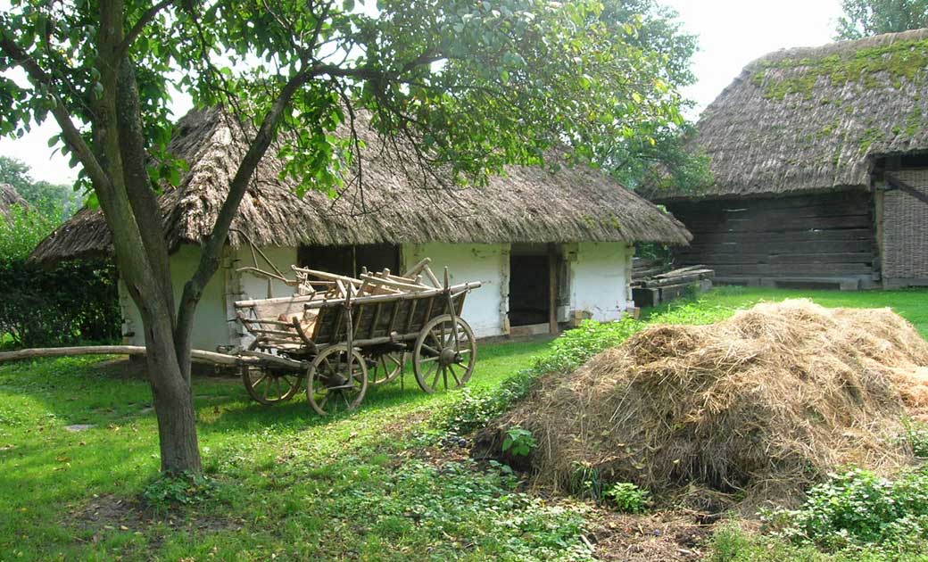 ग्राम सुराजी योजना : जिले में चारा उत्पादन तकनीकी प्रशिक्षण का आयोजन