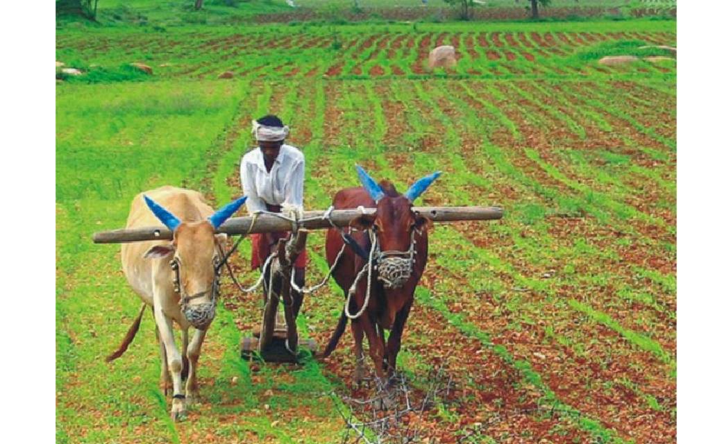 अधिक से अधिक किसानों को नामांकित करने के लिए एक विशेष अभियान... - CG Sandesh