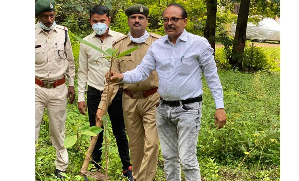 स्वतंत्रता दिवस के पावन अवसर पर वनमंडल कार्यालय में वृक्षारो... - CG Sandesh