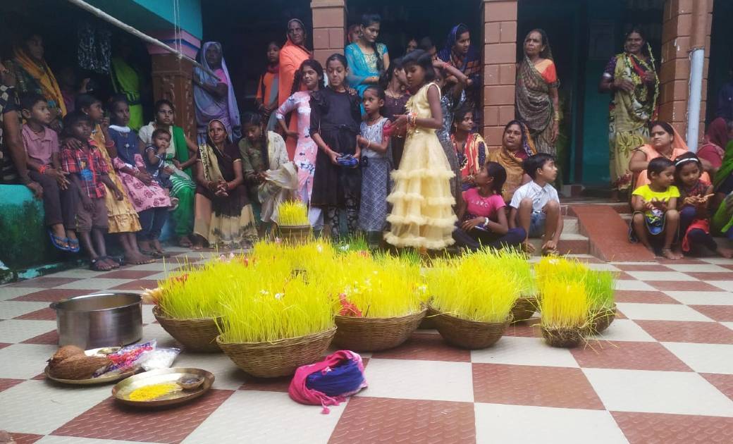 छत्तीसगढ़ की सांस्कृतिक एवं हरियाली का प्रतीक  भोजली पर्व बड़ी धूमधाम से मनाया गया