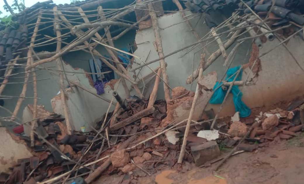 चिकनिपानी में हाथी ने तीन घरों को किया क्षतिग्रस्त, रखे धान और गेहूं को खाया, धान और मक्का का फसल को पहुंचाया नुकसान
