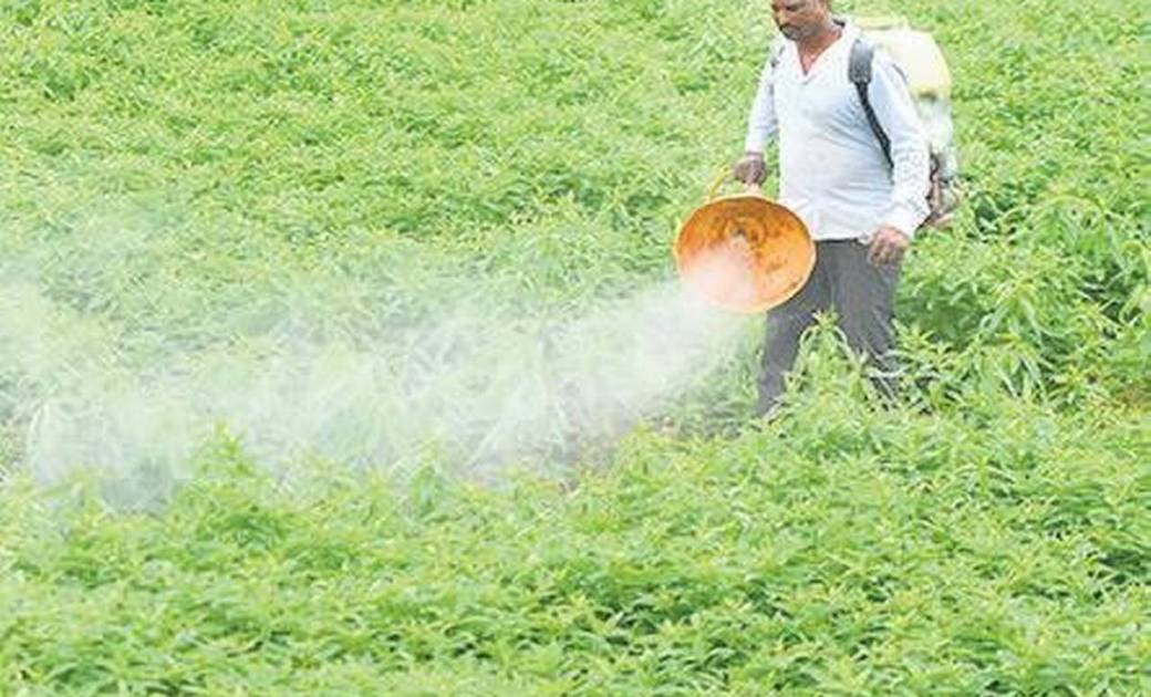 कृषि-रसायनों के अत्यधिक उपयोग को रोकें, जैविक खेती को बढ़ावा... - CG Sandesh