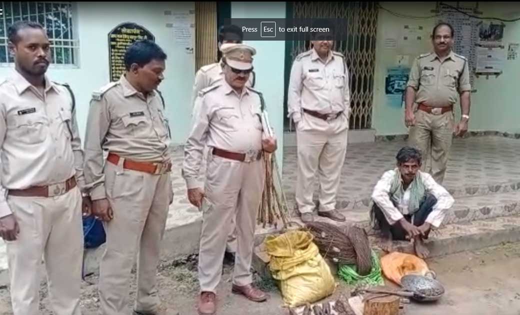 हाईटेंशन विद्युत तार बिछाकर जंगली सूअर का शिकार. - CG Sandesh