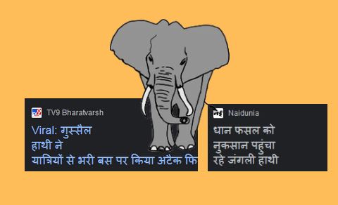 हाथियों के लिए ना हो डरावने शब्दों का उपयोग....भारत सरकार ने... - CG Sandesh