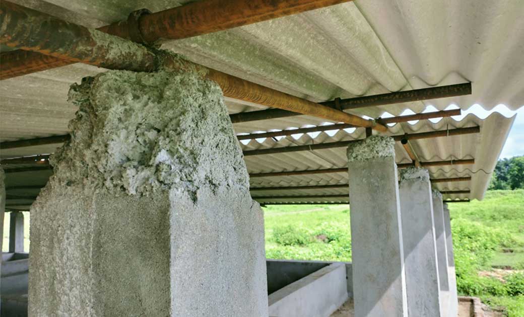 माहुलकोट मैं गौठान निर्माण कार्य बंद खेत खार में मवेशी रात ग... - CG Sandesh