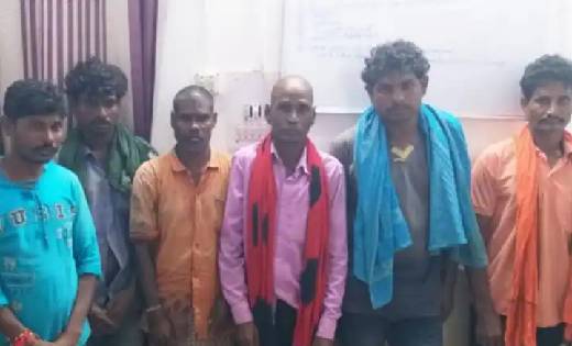 करंट लगाकर आठ जंगली सुअरों को उतारा मौत के घाट, छह ग्रामीण ग... - CG Sandesh