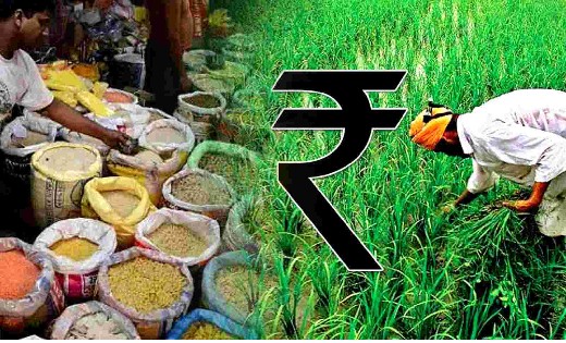 सरकार ने इन फसलों के न्यूनतम समर्थन मूल्य में की वृद्धि - CG Sandesh