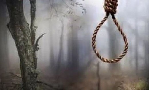 महासमुंद : खेत में फांसी लगाकर दे दी जान