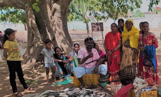 बिहान योजना से जुड़कर दीदियों के सपनों को मिले पंख - CG Sandesh