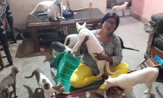 कौन बनेगा करोड़पत्ति में रायगढ़ की शीला तांडी 3 अक्टूबर को खे... - CG Sandesh