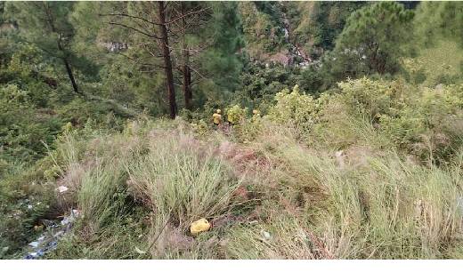  ब्रेकिंग : बारातियों से भरी बस गहरी खाई में गिरी, अबतक 32 ल... - CG Sandesh