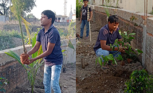 बिलासपुर: एकादशी पर किया वृक्षारोपण, संरक्षण का भी लिया संकल... - CG Sandesh