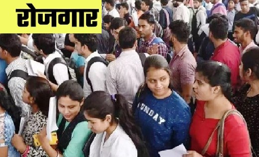 धान के अवैध परिवहन पर रखी जा रही कड़ी निगरानी, 215 बोरी धान ज... - CG Sandesh