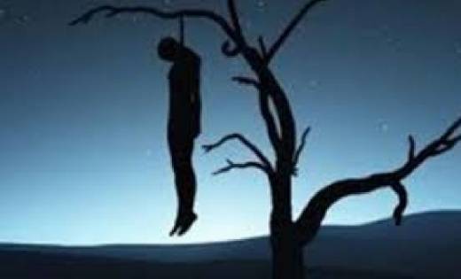 बागबाहरा: पेड़ पर लगाईं फांसी - CG Sandesh