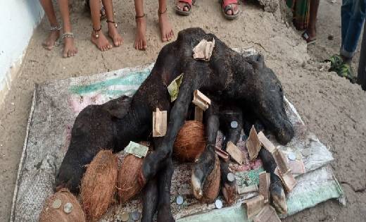 बसना : हैंण्डल से हल्का ठोकर लगने पर जमकर कर दी बाइक सवार की... - CG Sandesh