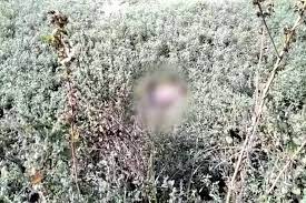 अज्ञात युवक की ब्रिज के नीचे लाश मिलने से फैली सनसनी - CG Sandesh