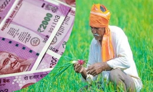 प्रधानमंत्री आज किसानों के खाते में हस्तांतरित करेंगे पीएम क... - CG Sandesh