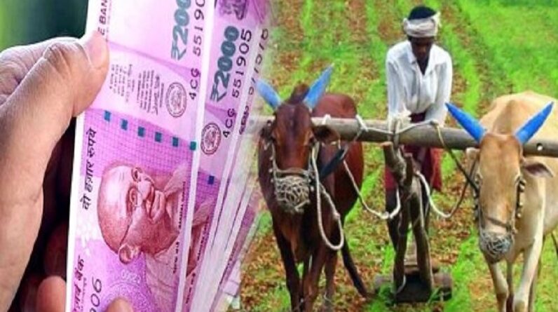 प्रदेश सरकार ने किसानों के हित में लिया बड़ा फैसला,इस फसल पर ... - CG Sandesh