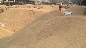बसना : स्वामी आत्मानंद इंग्लिश मीडियम स्कूल में पर्यावरण से ... - CG Sandesh