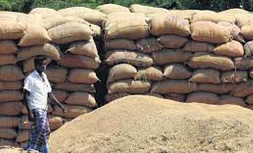 धान के अवैध भंडारण पर कार्रवाई, गोदाम से 382 बोरी धान जप्त - CG Sandesh