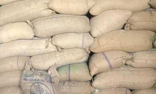 पिथौरा : धान खरीदी केंद्र से 10 बोरी धान चोरी के मामले में द... - CG Sandesh