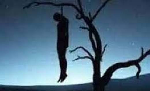 तुमगांव: अज्ञात कारण से खेत में लगाईं फांसी