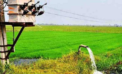 किसानों को ट्यूबवैल के लिए बिजली बिल में 50 प्रतिशत की छूट द... - CG Sandesh