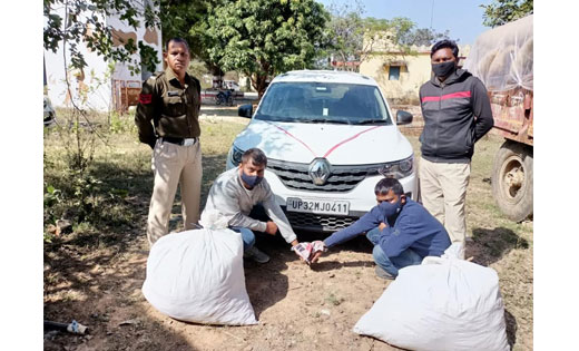 कोमाखान  : 50 किलो गांजा के साथ दो गिरफ्तार.. - CG Sandesh