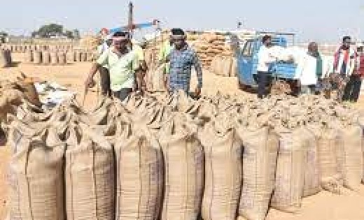 मोबाईल एप्प के जरिए टोकन जारी करते वक्त त्रुटि होने पर किसान... - CG Sandesh