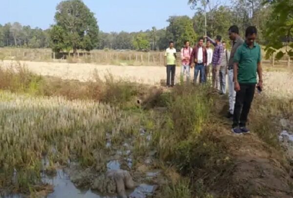 हाथियों को भगाने किया तंत्र-मंत्र, उन्हीं ने बुजुर्ग को कुचल... - CG Sandesh