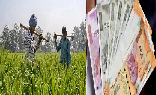 किसान फसल बीमा की तारीख हुई घोषित, यहां देखें आवेदन की प्रक्... - CG Sandesh