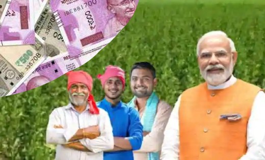 पीएम किसान योजना : 8 करोड़ से ज्यादा किसानों को मिलेगी 13वीं... - CG Sandesh